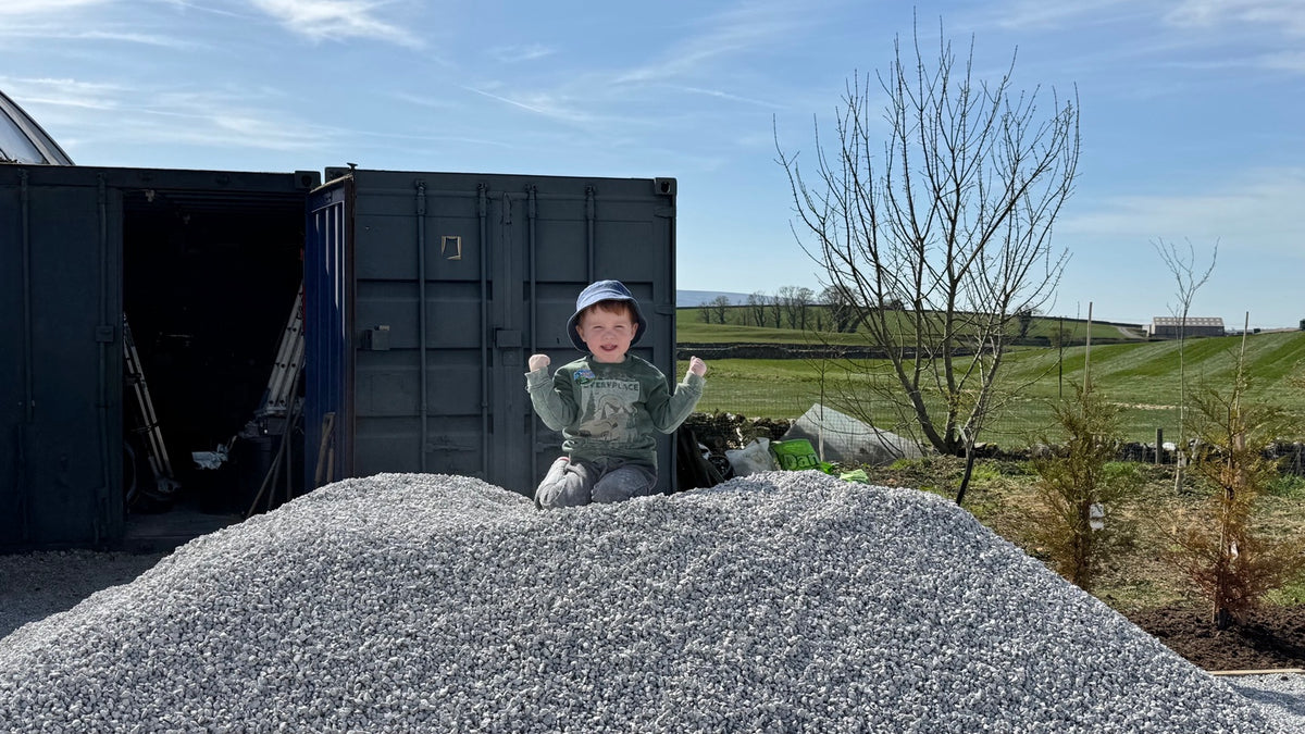 Archie on a gravel pile during nursery improvements