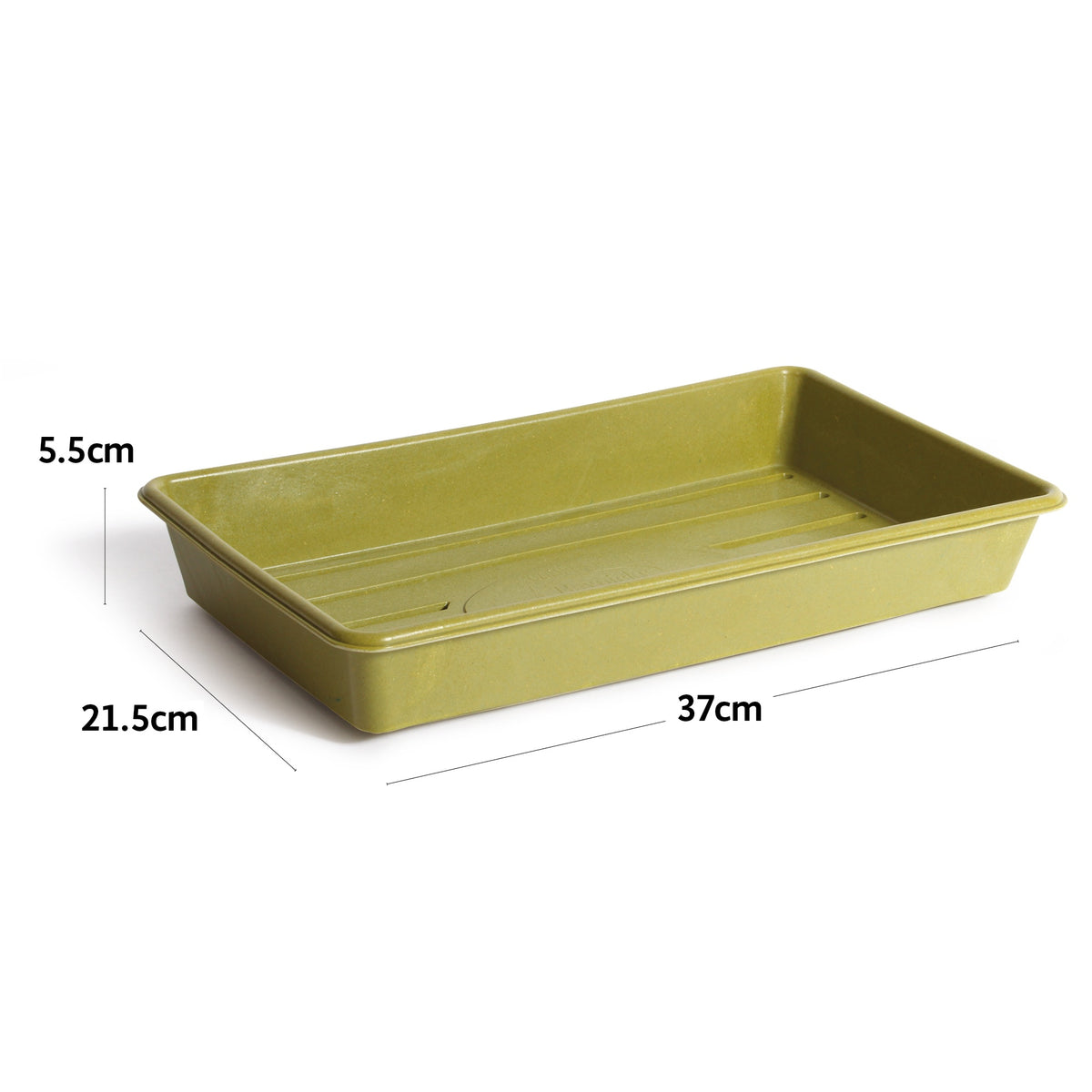 Bamboo Seed Tray Green Lay of the Land Ltd