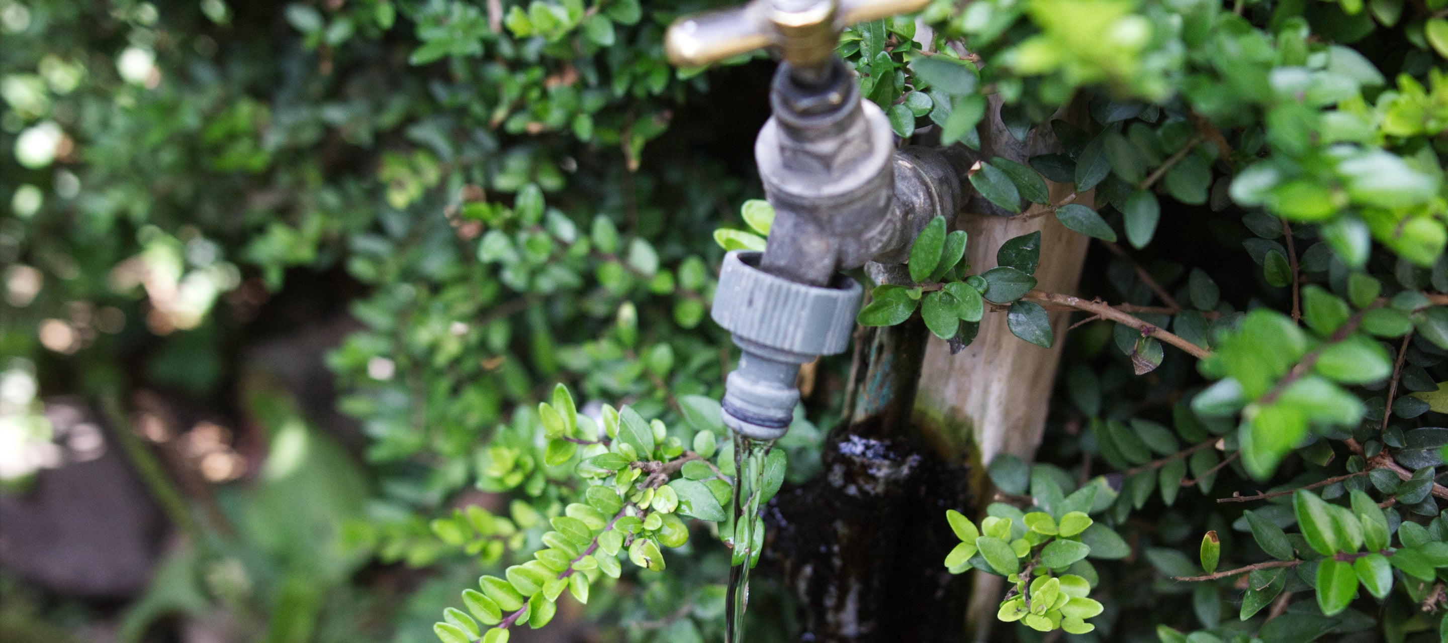 Drought Adaption Part 1 - Water Management