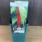 Rhubarb 'Canada Red'