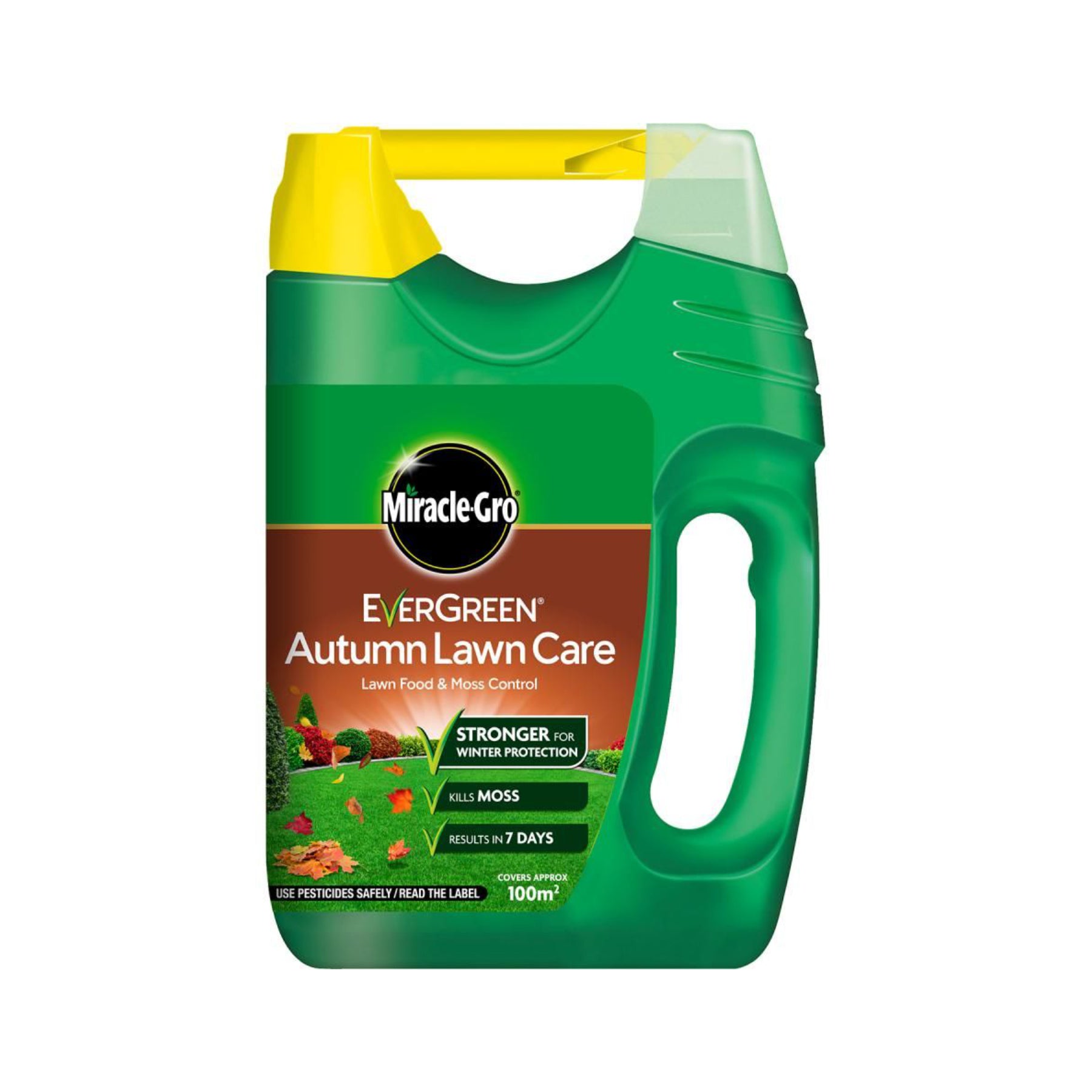 Miracle sales gro evergreen
