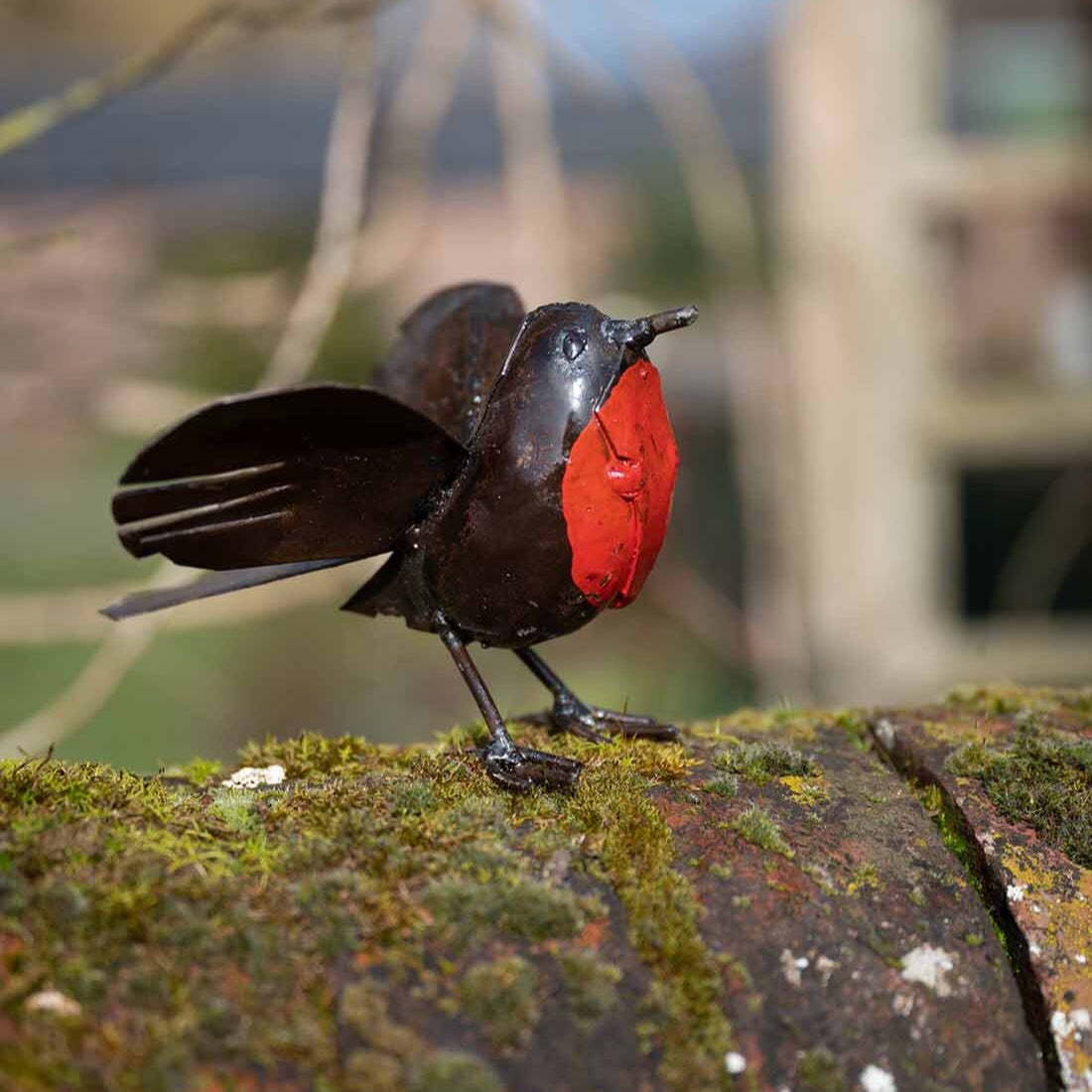Robin – Lay of the Land ltd